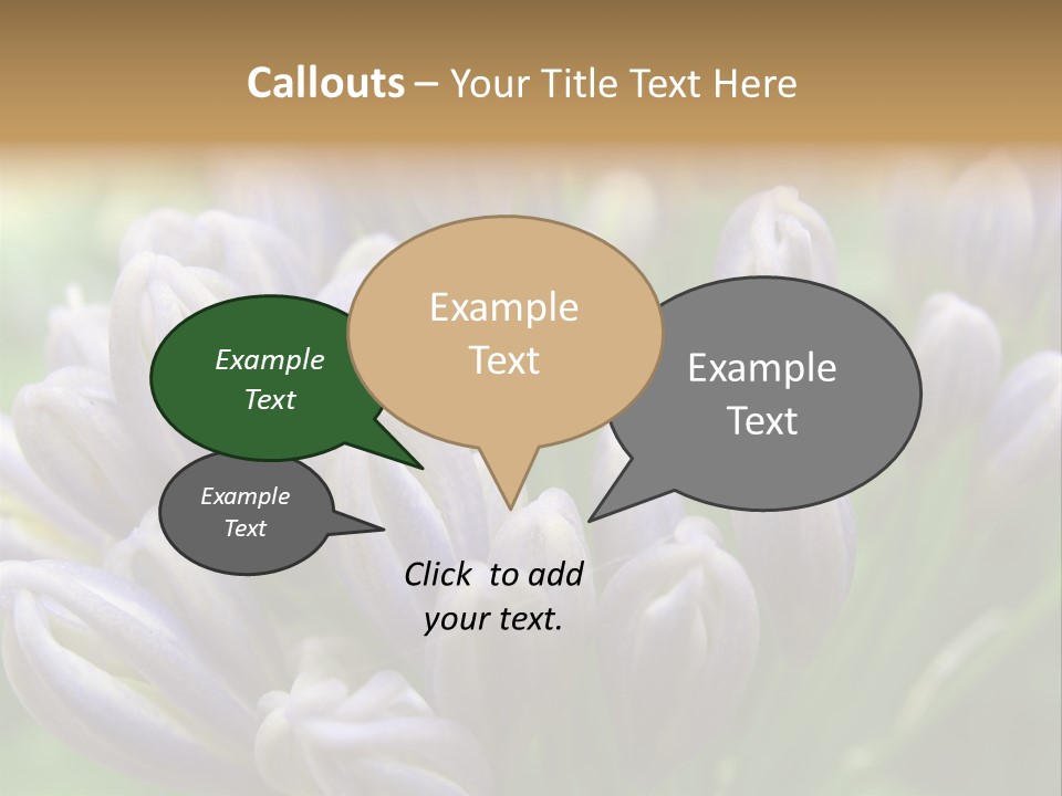 Agapanthas Unopened PowerPoint Template