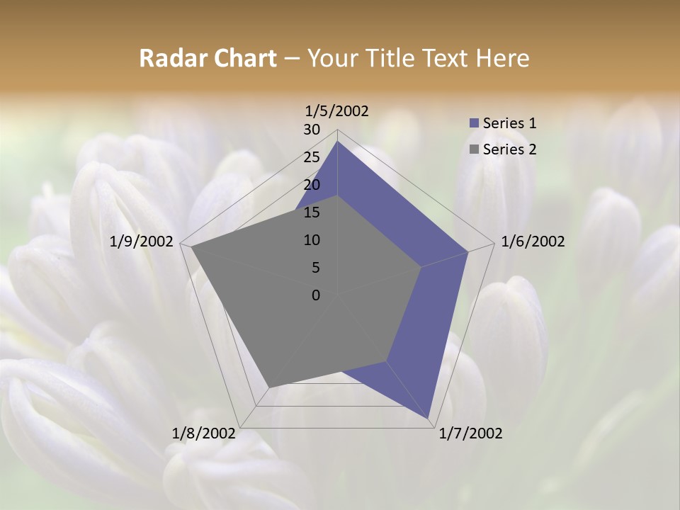 Agapanthas Unopened PowerPoint Template