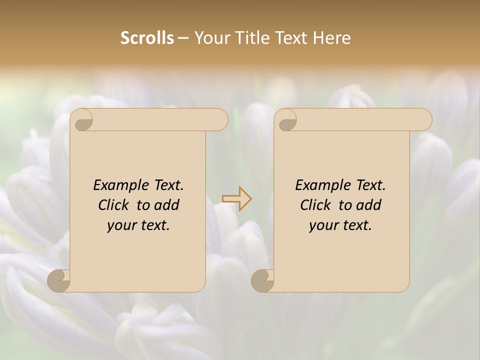 Agapanthas Unopened PowerPoint Template