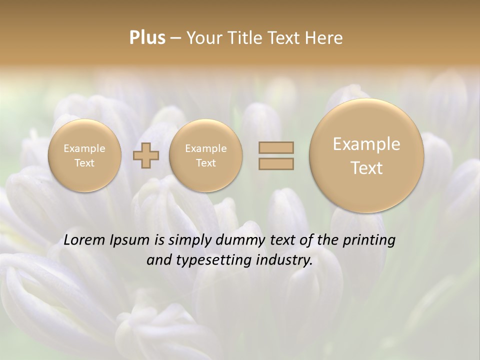 Agapanthas Unopened PowerPoint Template
