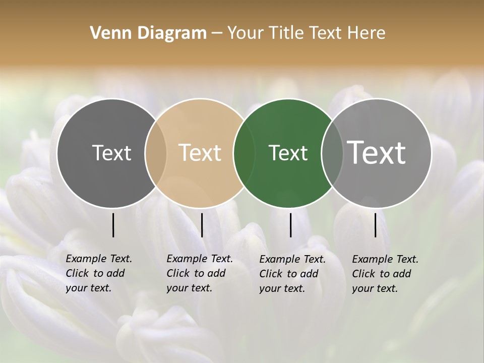 Agapanthas Unopened PowerPoint Template