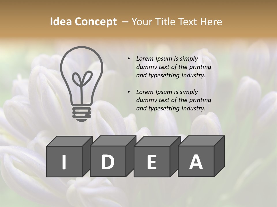 Agapanthas Unopened PowerPoint Template