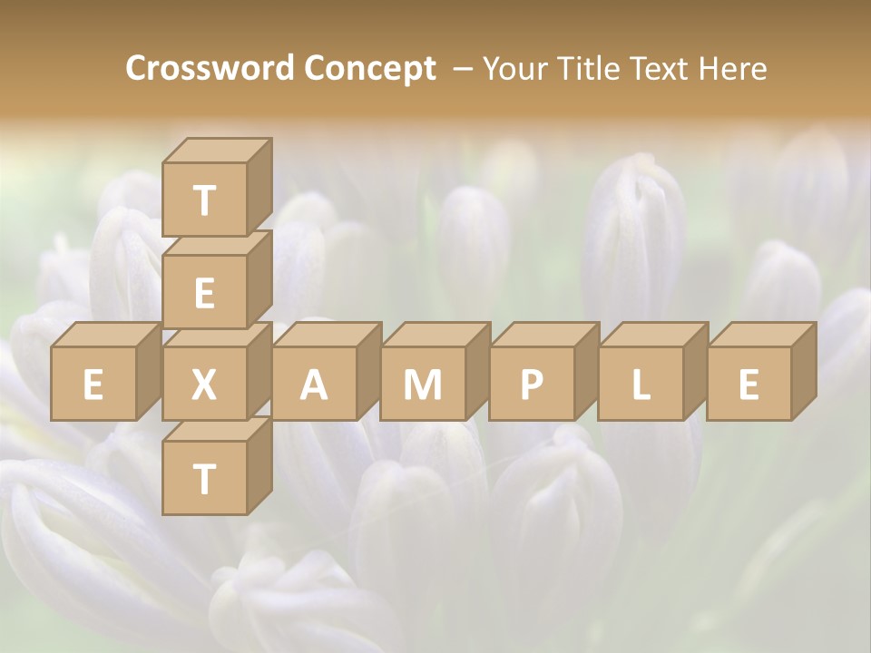 Agapanthas Unopened PowerPoint Template