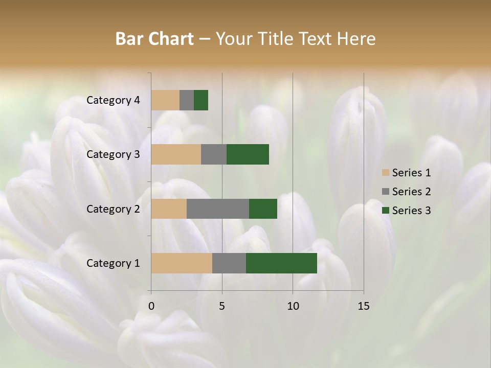 Agapanthas Unopened PowerPoint Template
