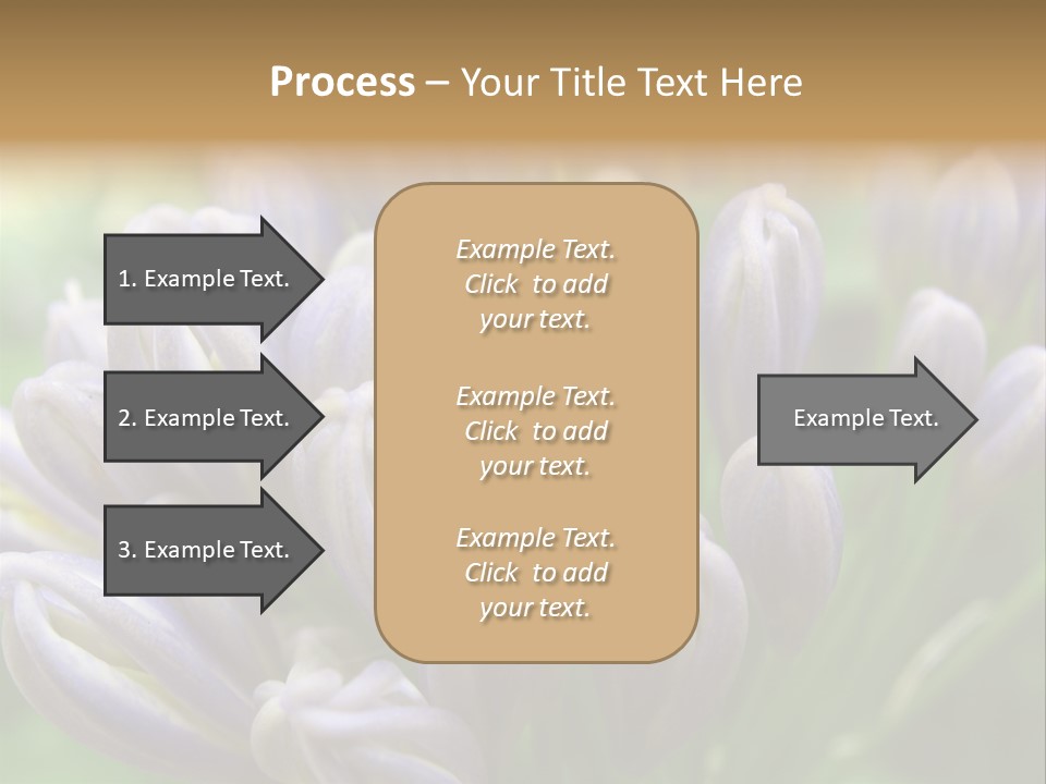 Agapanthas Unopened PowerPoint Template