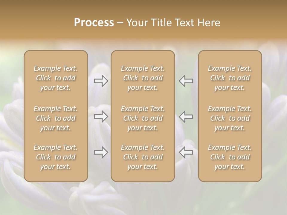 Agapanthas Unopened PowerPoint Template