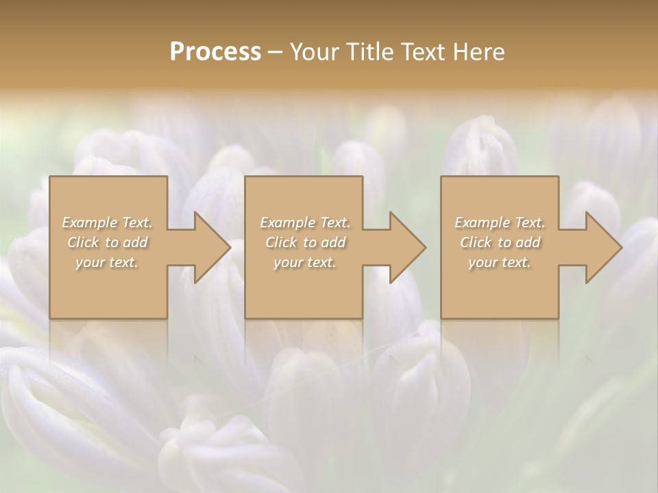 Agapanthas Unopened PowerPoint Template