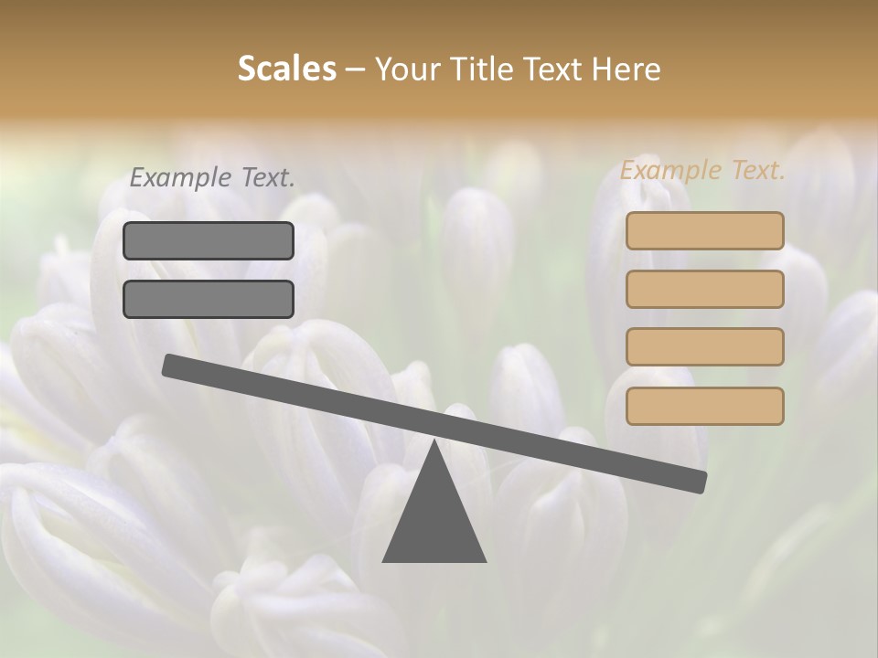 Agapanthas Unopened PowerPoint Template
