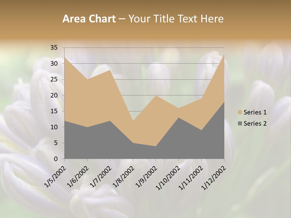 Agapanthas Unopened PowerPoint Template