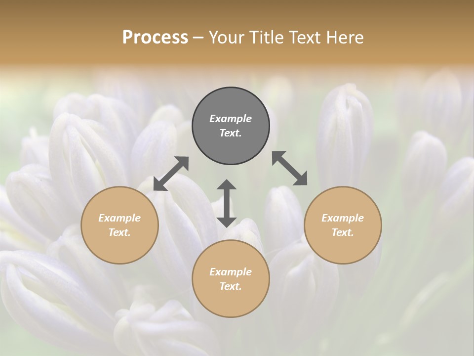 Agapanthas Unopened PowerPoint Template