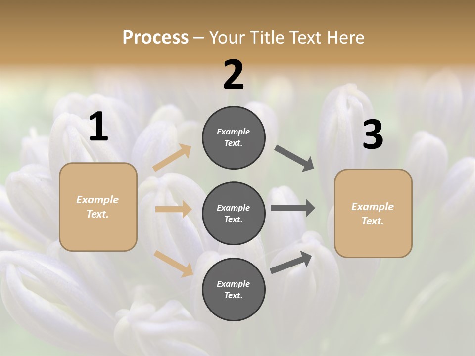 Agapanthas Unopened PowerPoint Template