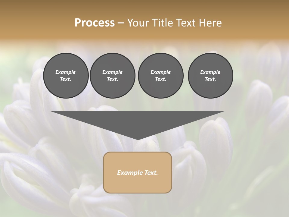 Agapanthas Unopened PowerPoint Template