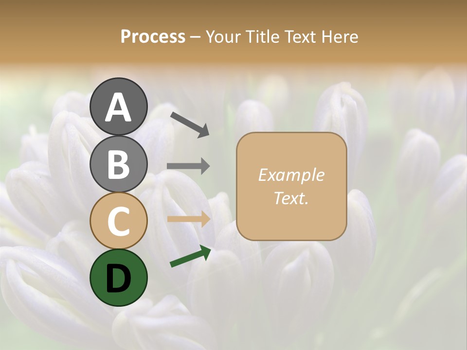 Agapanthas Unopened PowerPoint Template
