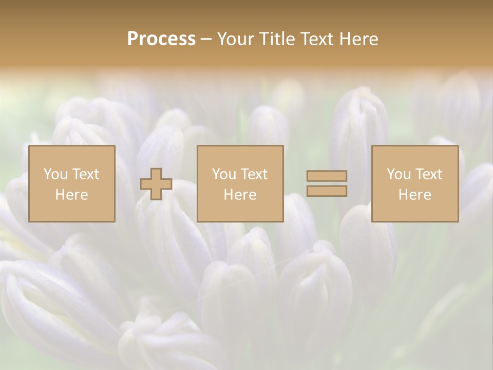 Agapanthas Unopened PowerPoint Template