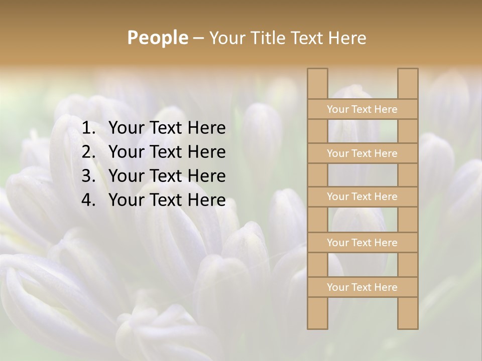 Agapanthas Unopened PowerPoint Template
