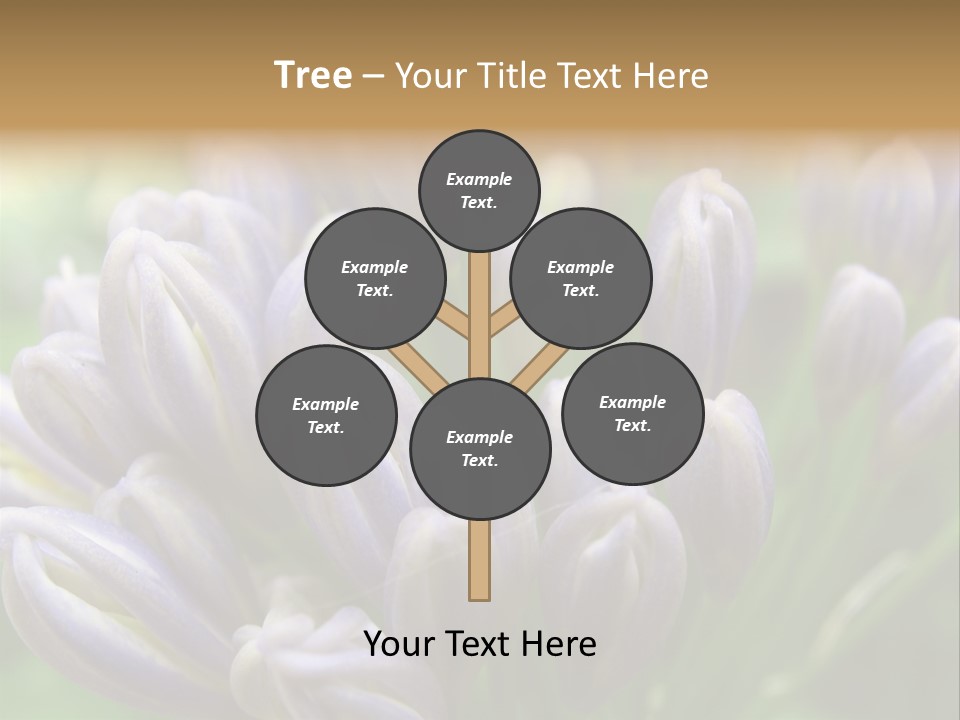 Agapanthas Unopened PowerPoint Template