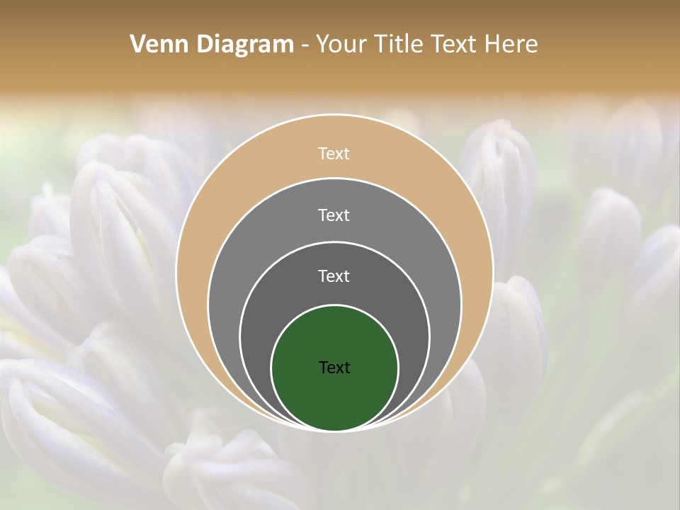 Agapanthas Unopened PowerPoint Template