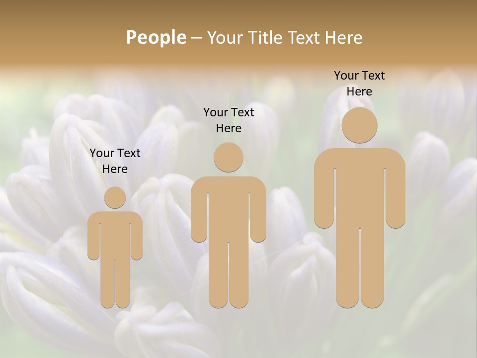 Agapanthas Unopened PowerPoint Template