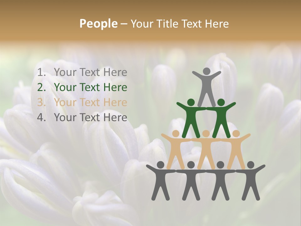 Agapanthas Unopened PowerPoint Template