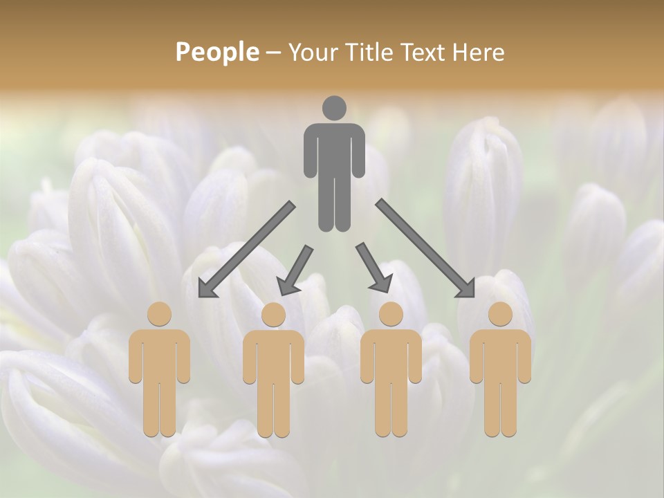 Agapanthas Unopened PowerPoint Template