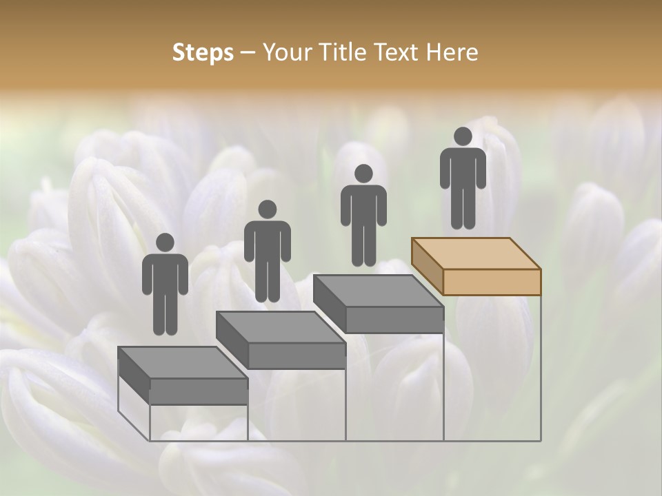 Agapanthas Unopened PowerPoint Template