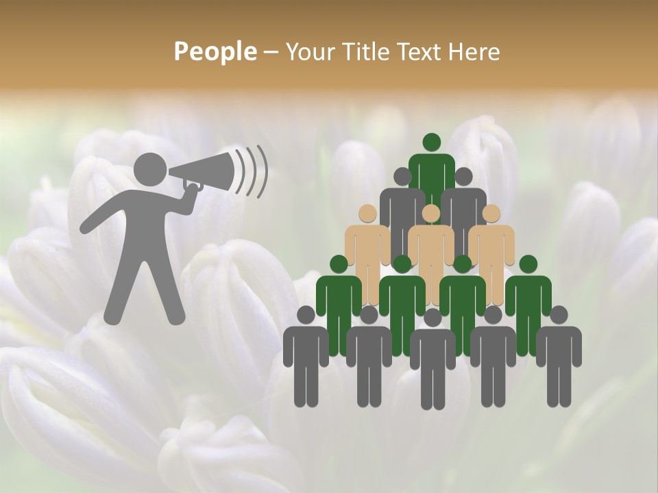 Agapanthas Unopened PowerPoint Template