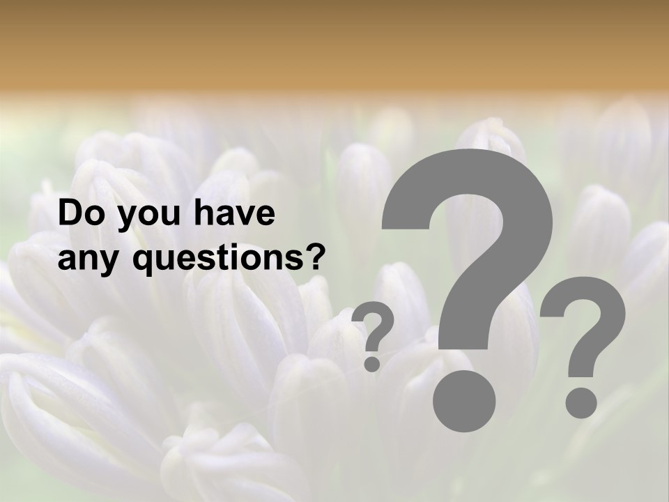 Agapanthas Unopened PowerPoint Template