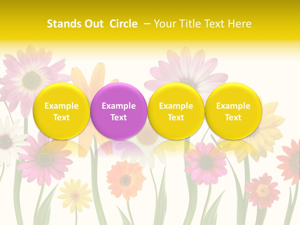 Spring Flowers PowerPoint Template