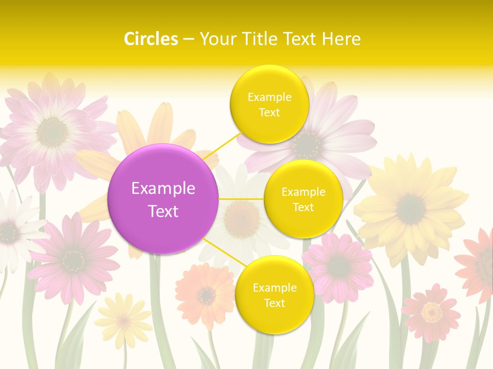 Spring Flowers PowerPoint Template