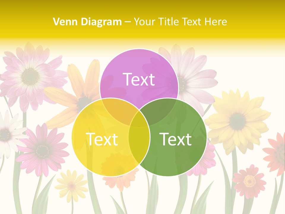 Spring Flowers PowerPoint Template