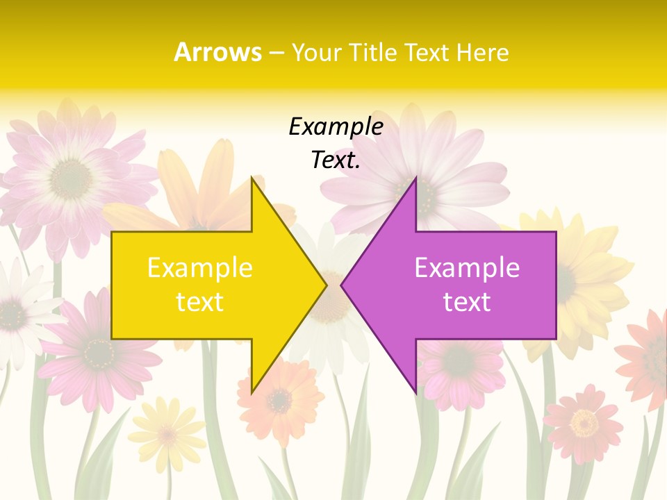 Spring Flowers PowerPoint Template