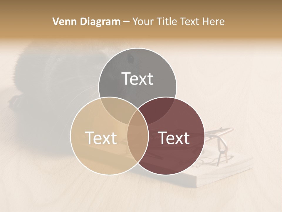 A Woman Taking Vitamin PowerPoint Template