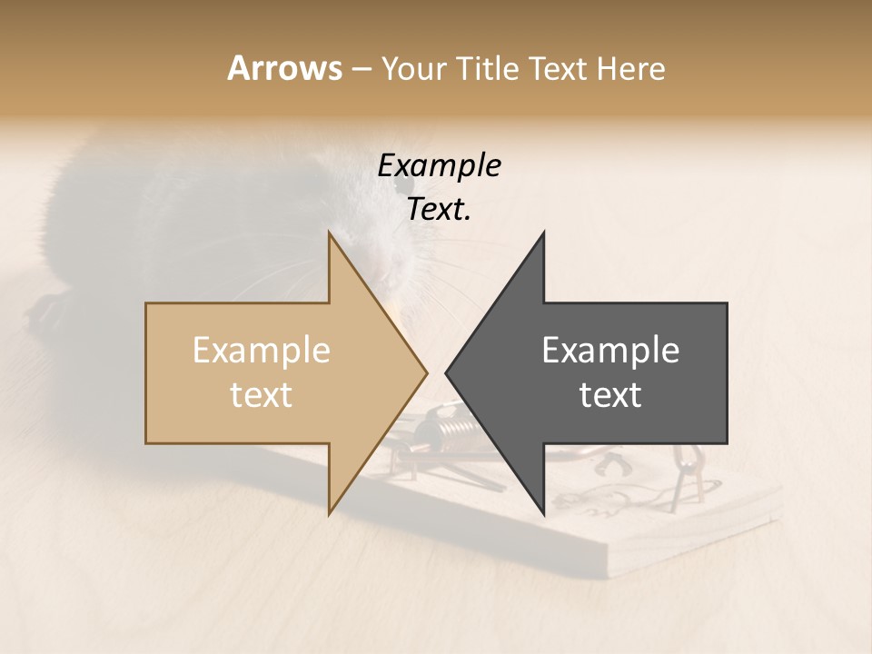 A Woman Taking Vitamin PowerPoint Template