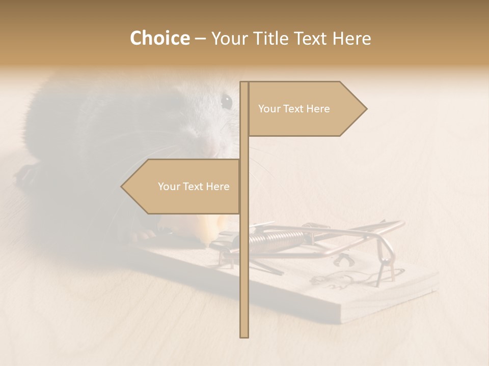 A Woman Taking Vitamin PowerPoint Template