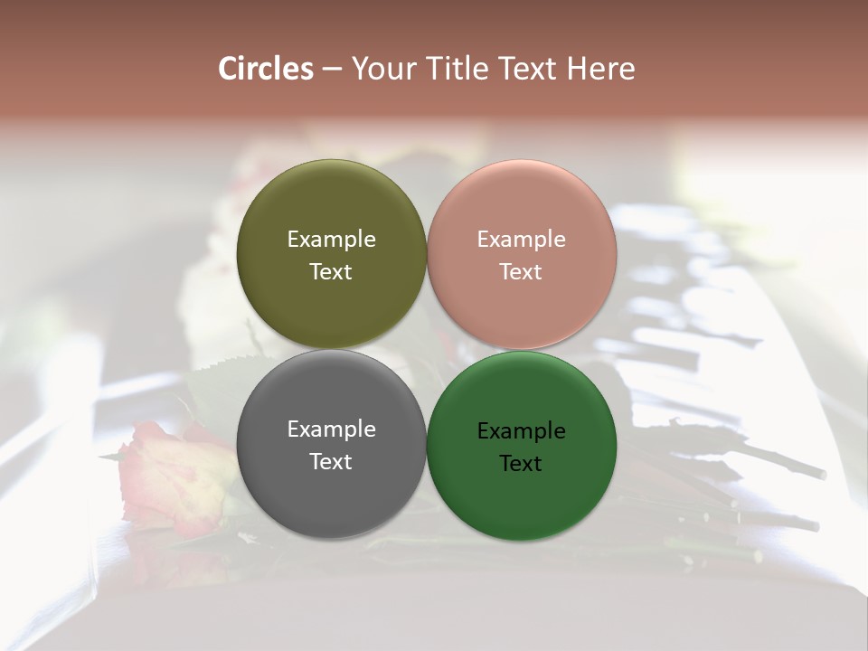 Roses On Casket PowerPoint Template