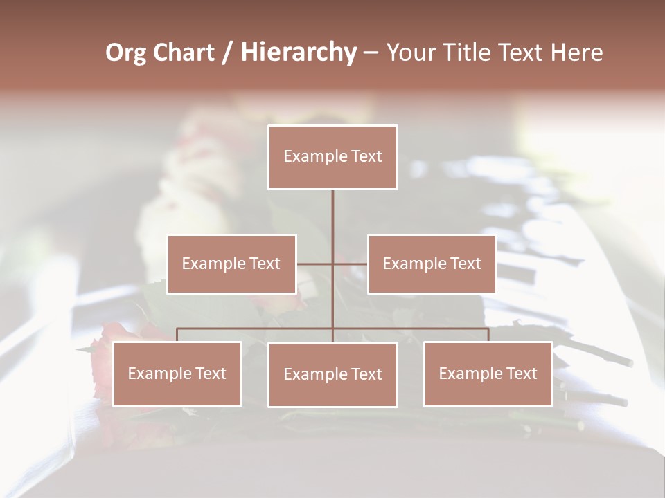 Roses On Casket PowerPoint Template