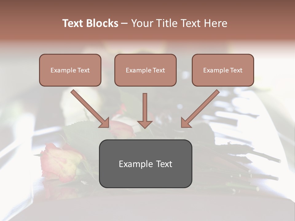 Roses On Casket PowerPoint Template