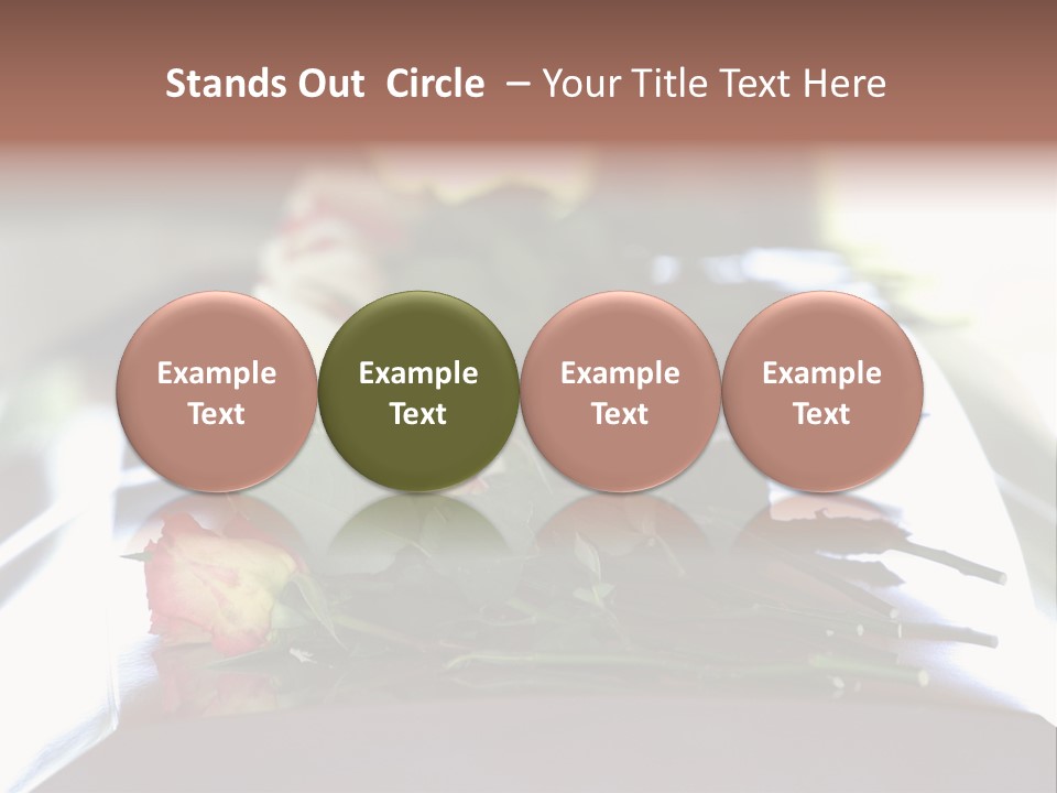 Roses On Casket PowerPoint Template