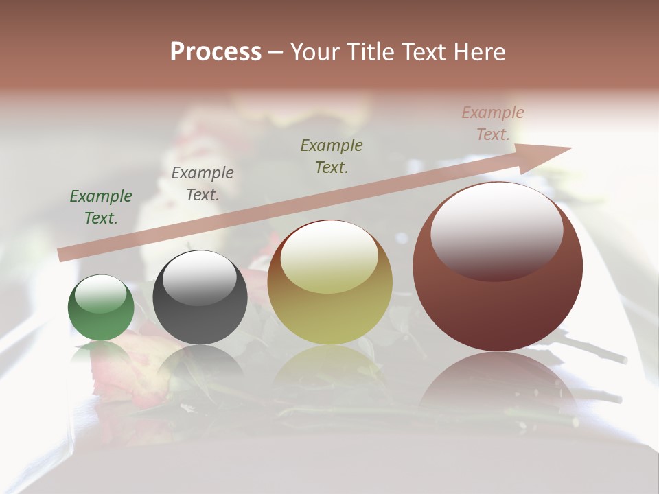 Roses On Casket PowerPoint Template