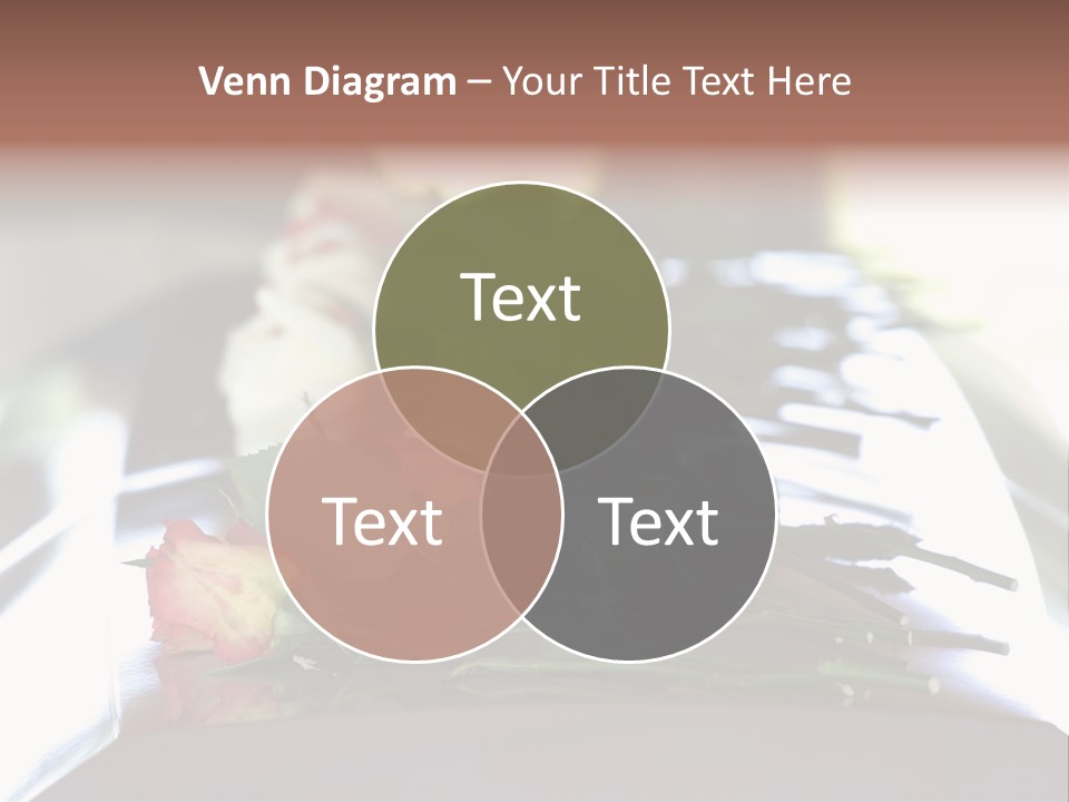 Roses On Casket PowerPoint Template