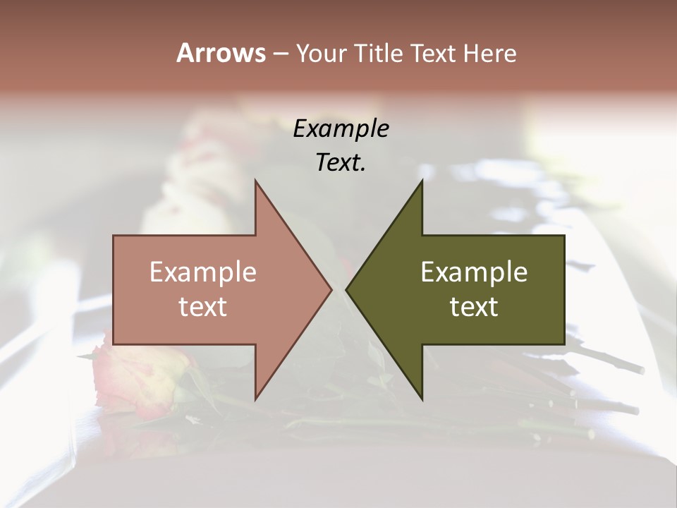 Roses On Casket PowerPoint Template