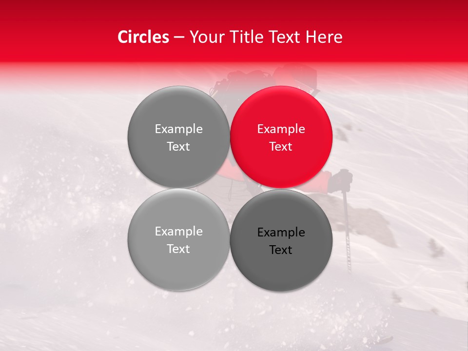 Group Of Dogs In Front Of A White Background PowerPoint Template