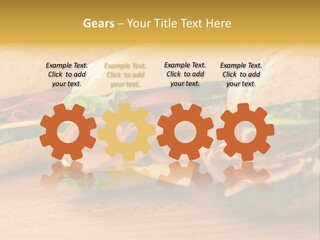 Three Fresh Sandwiches - Turkey Breast, Ham & Swiss And Salami On A Cutting Board. Focus On The Ham Sandwich PowerPoint Template