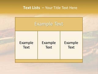 Three Fresh Sandwiches - Turkey Breast, Ham & Swiss And Salami On A Cutting Board. Focus On The Ham Sandwich PowerPoint Template