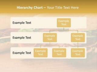 Three Fresh Sandwiches - Turkey Breast, Ham & Swiss And Salami On A Cutting Board. Focus On The Ham Sandwich PowerPoint Template