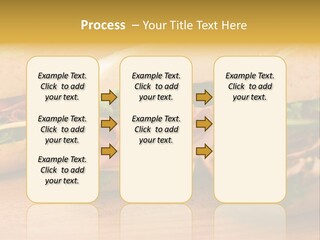 Three Fresh Sandwiches - Turkey Breast, Ham & Swiss And Salami On A Cutting Board. Focus On The Ham Sandwich PowerPoint Template