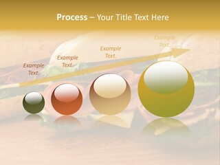 Three Fresh Sandwiches - Turkey Breast, Ham & Swiss And Salami On A Cutting Board. Focus On The Ham Sandwich PowerPoint Template