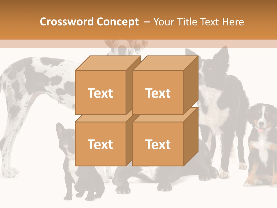 Group Of Dogs In Front Of A White Background PowerPoint Template