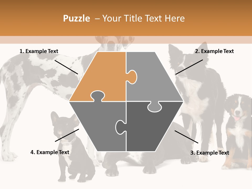 Group Of Dogs In Front Of A White Background PowerPoint Template