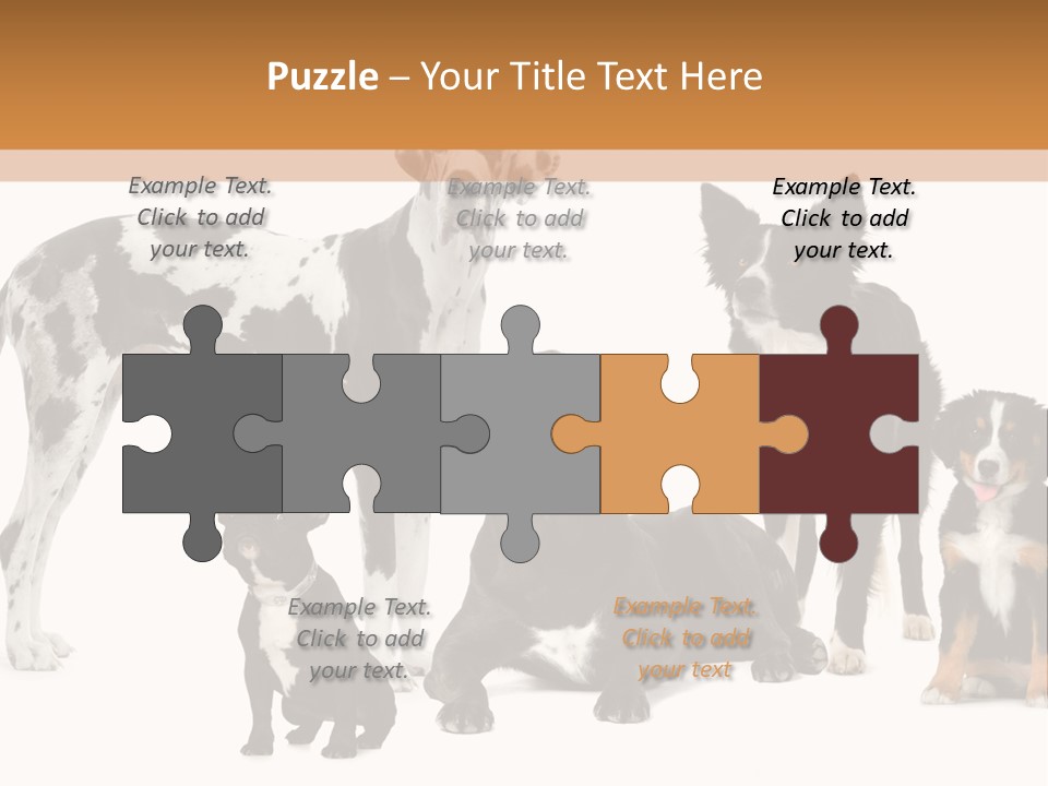 Group Of Dogs In Front Of A White Background PowerPoint Template